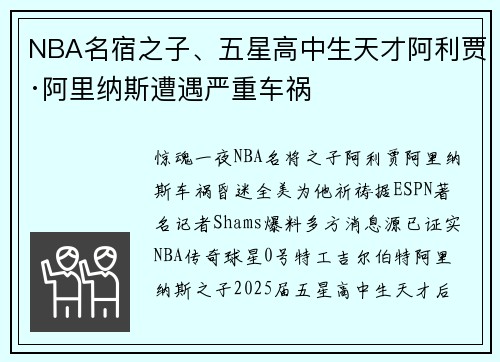 NBA名宿之子、五星高中生天才阿利贾·阿里纳斯遭遇严重车祸