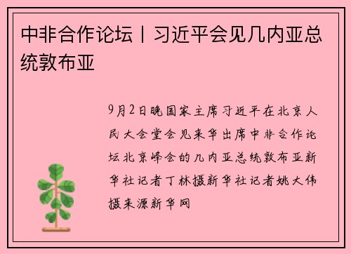 中非合作论坛丨习近平会见几内亚总统敦布亚